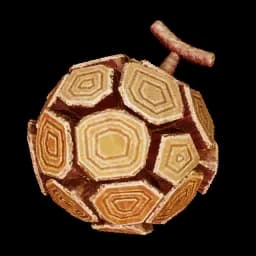 Earth Skill Fruit: Stone Blast