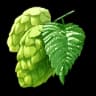 Hop